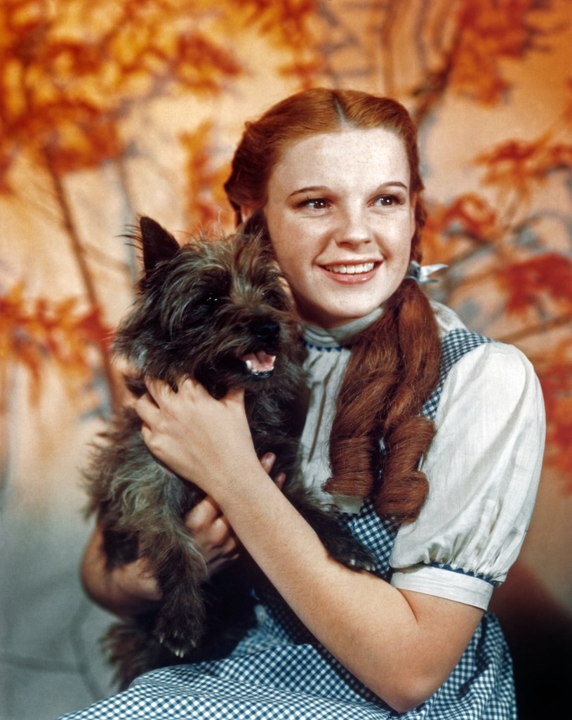 Judy Garland na plnie filmu "Czarnoksiężnik z Krainy Oz" /Herbert Dorfman /Getty Images