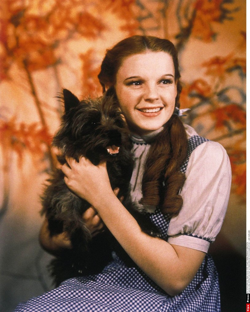 Judy Garland z terrierką Terry w "Czarnoksiężniku z Krainy Oz" /NANA PRODUCTIONS/SIPA /East News