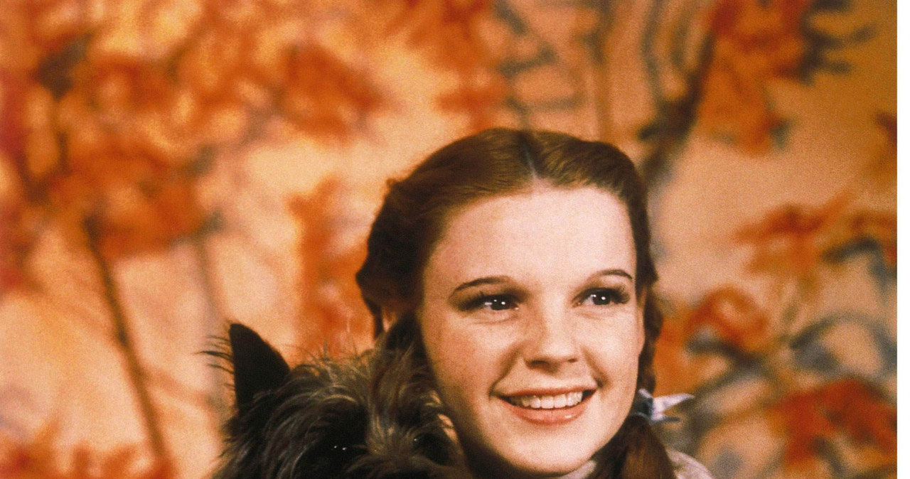 Judy Garland z terrierką Terry w "Czarnoksiężniku z Krainy Oz" /NANA PRODUCTIONS/SIPA /East News