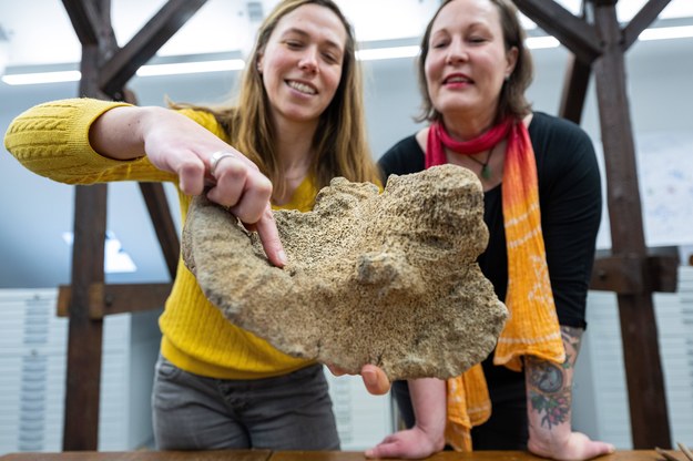 Julia Ricken i Simone Grundmann pokazują kości mamuta /GUIDO KIRCHNER   /PAP/DPA
