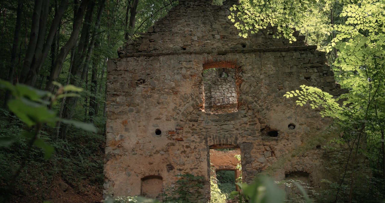 Jura Krakowsko-Częstochowska obfituje w zakątki z fascynującą historią. Wśród nich są ruiny sprzed wieków. /P. Drechsler /archiwum prywatne