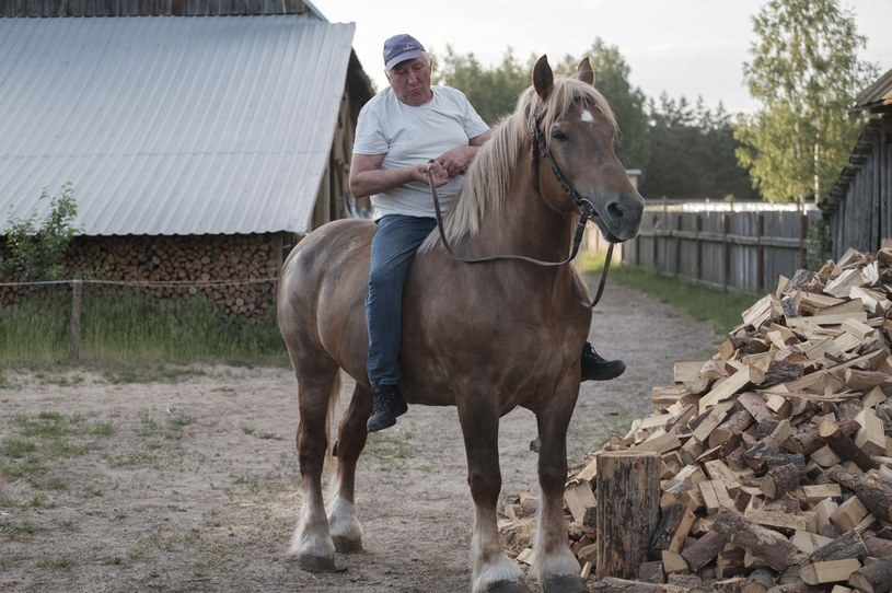 Jurek przygotuje konie na wystawę /FOKUS TV