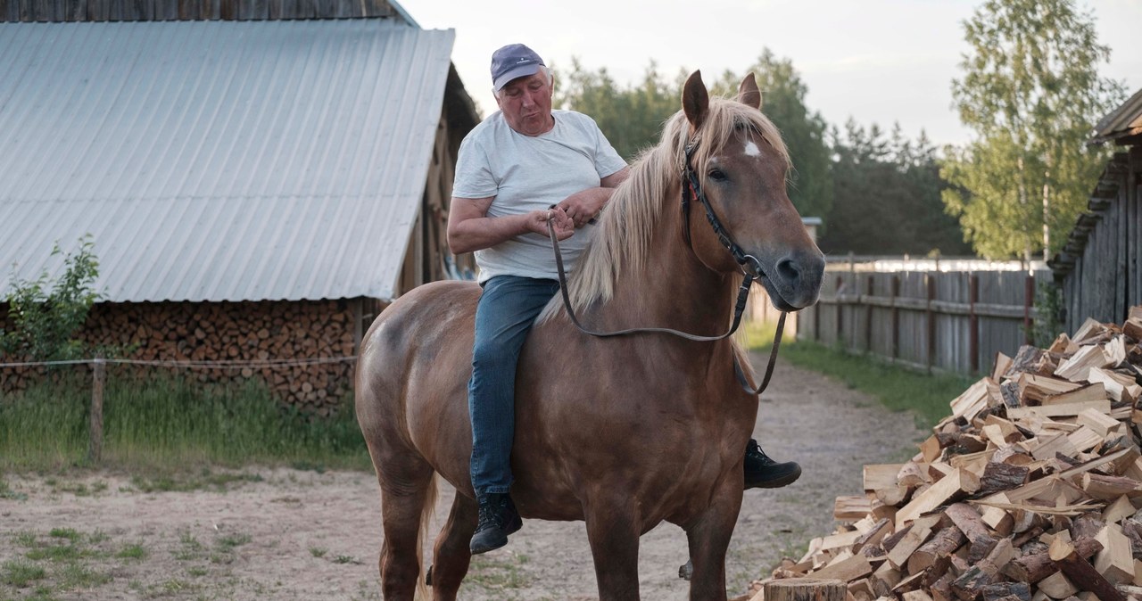 Jurek przygotuje konie na wystawę /FOKUS TV