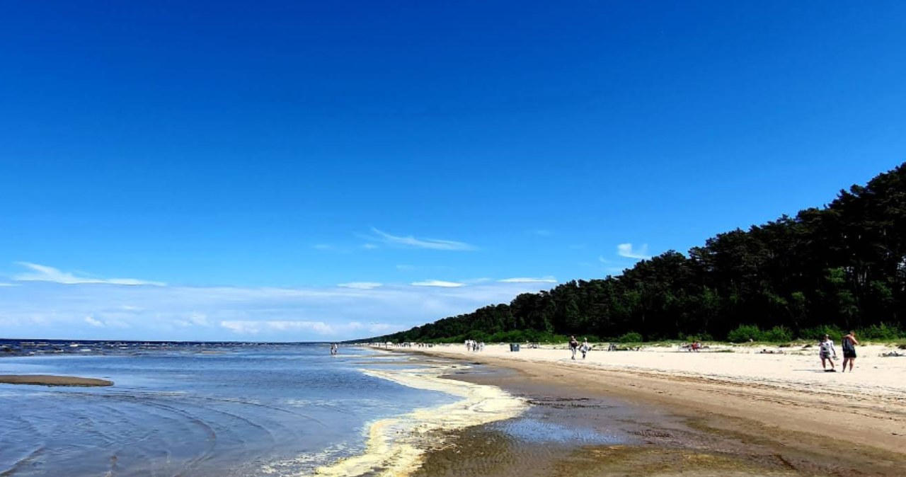 Jurmała to uzdrowisko na Łotwie. Oferuje niezwykłe połączenie walorów uzdrowiskowych z klimatem nadmorskiego kurortu. /Google Maps, Jekaterina Vasiljeva /materiał zewnętrzny