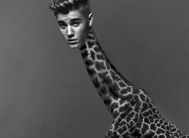 Justin Bieber jako żyrafa /