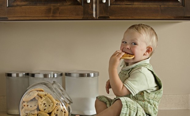 Już 1,5-roczne dzieci są świadome, że czegoś nie wiedzą