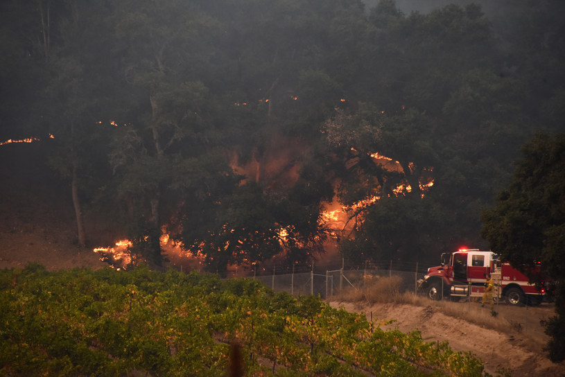 Już 21 ofiar śmiertelnych pożarów w Kalifornii /ROBYN BECK /AFP