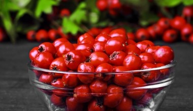 Już dojrzewa, zrób sobie zapas i ususz. Nie ma lepszego wspomagacza serca, krążenia i odporności 