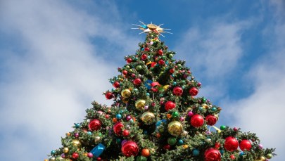 Już dzisiaj na Placu Zamkowym w Warszawie rozbłyśnie choinka 