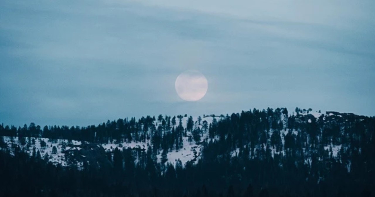 Już dzisiaj zabłyśnie na nocnym niebie. Śnieżny Księżyc warto podziwiać /Jared Vega /Pexels.com