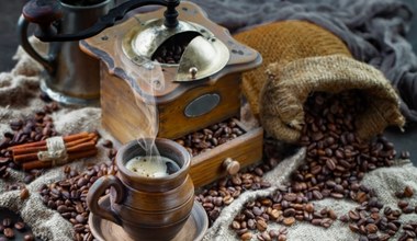 Już nie Kopi Luwak. Najdroższą kawę na świecie produkuje się z odchodów słonia i kosztuje więcej, niż średnia krajowa