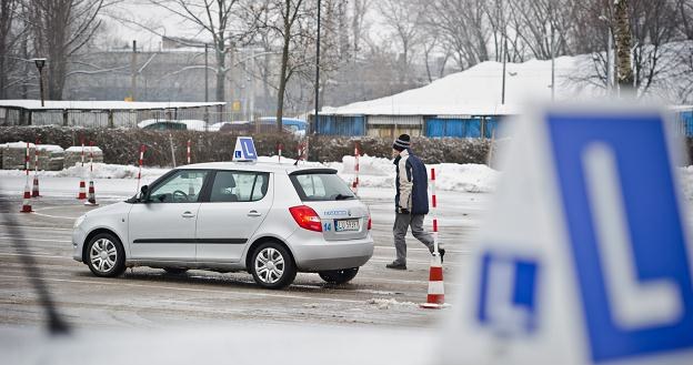 Już nie tylko praktyka, ale i teoria jest postachem kandydatów na kierowców /PAP