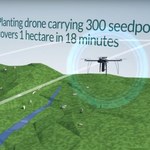 Już niedługo inteligentne drony będą sadzić miliard drzew rocznie