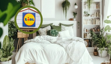 Już od poniedziałku w Lidlu pościel 50% taniej. Zobacz, jak skorzystać z rabatu