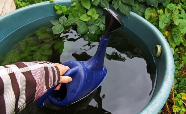 ​Już ponad 200 gmin apeluje o oszczędzanie wody