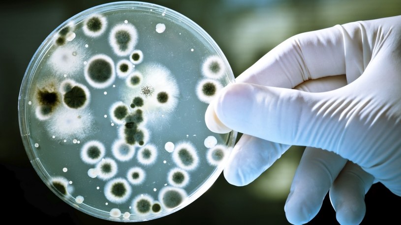 Już ponad 3 tysiące zakażonych bakterią, która „uciekła” z chińskiego laboratorium /Geekweek