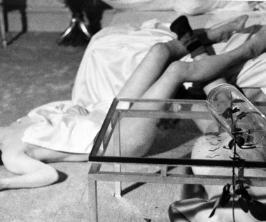 Już w latach 50. amerykańska prasa pisała, że "Nowy Jork oszalał na punkcie Giny". Pojawiła się na okładce pisma "Time", została z honorami przyjęta w Białym Domu przez prezydenta Dwighta Eisenhowera. Aktorka ujawniła, że otrzymała także propozycję zagrania w "Słodkim życiu" Federico Felliniego roli narzeczonej Marcello Mastroianniego. Jak stwierdziła, jej ówczesny mąż ukrył jednak przed nią scenariusz i dlatego rolę tę powierzono Yvonne Furneaux.