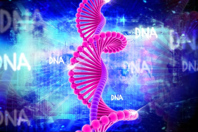 Już wiadomo co dzieje się z DNA niedotlenionych komórek /123RF/PICSEL