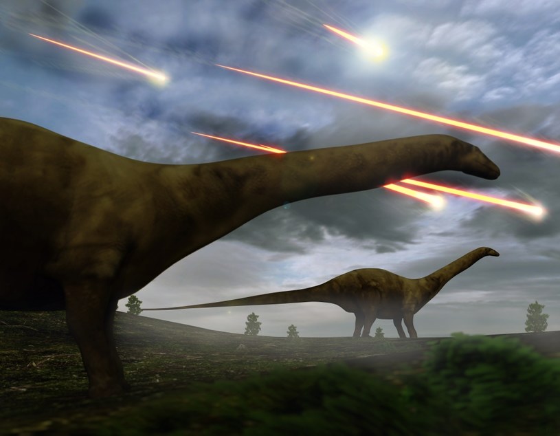 Już wiadomo, dlaczego dinozaury nie przetrwały uderzenia asteroidy /123RF/PICSEL