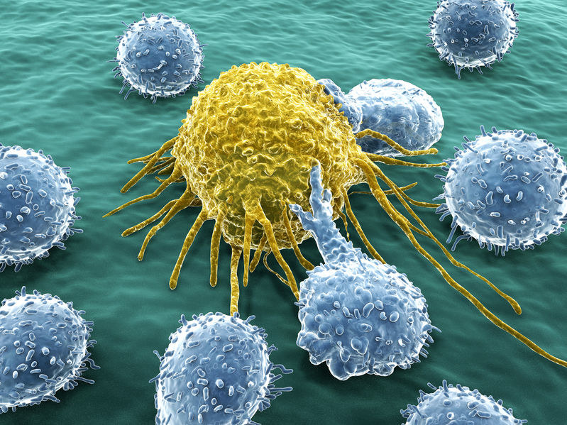 Już wiadomo, dlaczego niektóre komórki nowotworowe są zdolne do przerzutowania /123RF/PICSEL