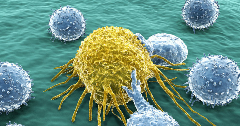 Już wiadomo, dlaczego niektóre komórki nowotworowe są zdolne do przerzutowania /123RF/PICSEL