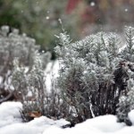 Już widać, że wiosną będzie susza. Są wyraźne znaki