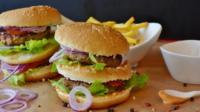 Już wiemy, dlaczego fast foody psują nasz apetyt i powodują epidemię otyłości /Geekweek