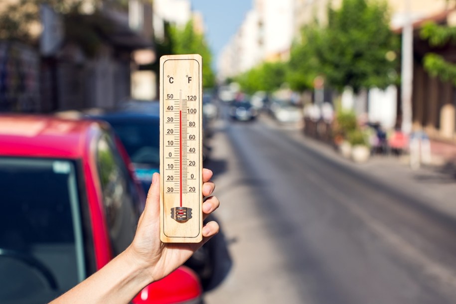 Już wkrótce termometry w niektórych regionach w Polsce mogą pokazać 40 stopni Celsjusza /Shutterstock