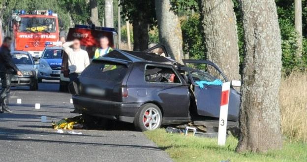 Już zderzenie z prędkością 50 km/h może okazać się śmiertelne /Informacja prasowa