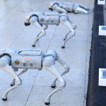 robo-pies K9-X w akcji. Meksyk stawia na roboty policyjne podczas mundialu