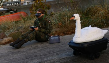 "Kaczka trojańska". Nietypowy polski dron na MSPO 2025