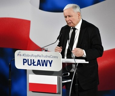 Kaczyński mówił o przejęciu sieci Żabka. Sieć sklepów odpowiada