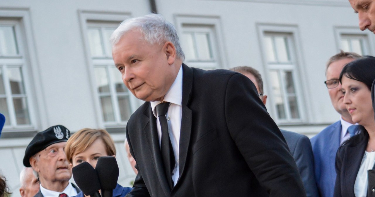 Kaczyński na drabince /- /East News