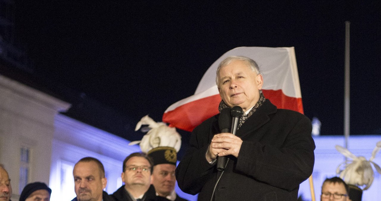 Kaczyński na drabince /- /East News