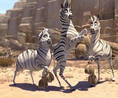 Kadr z animacji "Kumba"