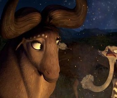 Kadr z animacji "Kumba"