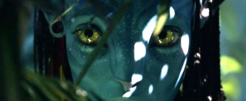 Kadr z filmu "Avatar 2: Istota wody" /NIPI/BackGrid UK /East News /East News