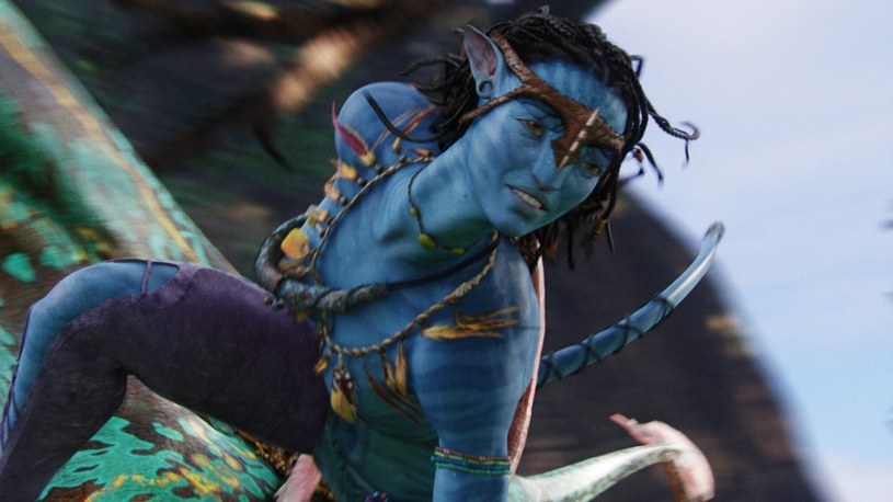 Kadr z filmu "Avatar" /Mark Fellman/Twentieth Century Fox/Dune Entertainment /East News