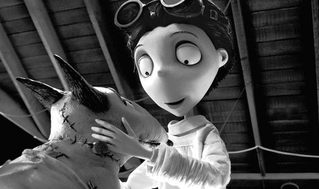 Kadr z filmu "Frankenweenie" /materiały prasowe