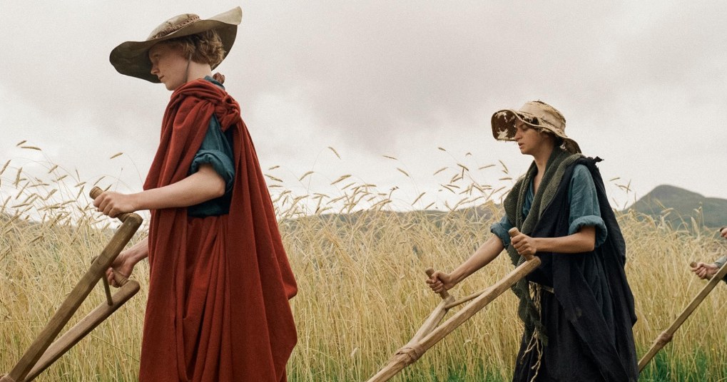 Kadr z filmu "Harvest" /© materiały dystrybutora /materiały prasowe