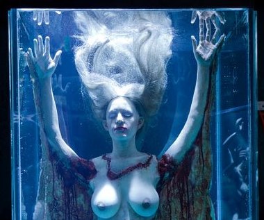 Kadr z filmu "Kolekcjoner"