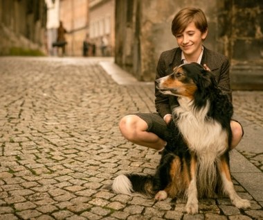 Kadr z filmu Magdaleny Łazarkiewicz "Kajtek Czarodziej", fot. Karolina Grabowska