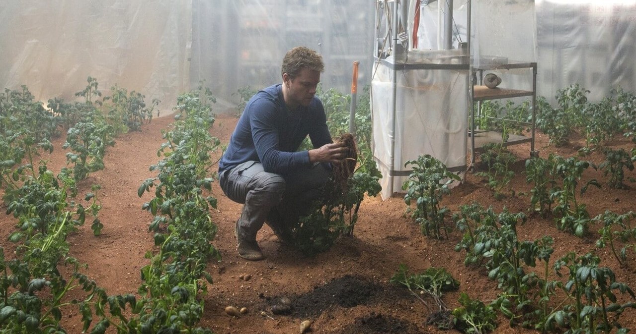 Kadr z filmu Marsjanin, gdzie główny bohater hoduje ziemniaki /20th Century-Fox  /materiał zewnętrzny