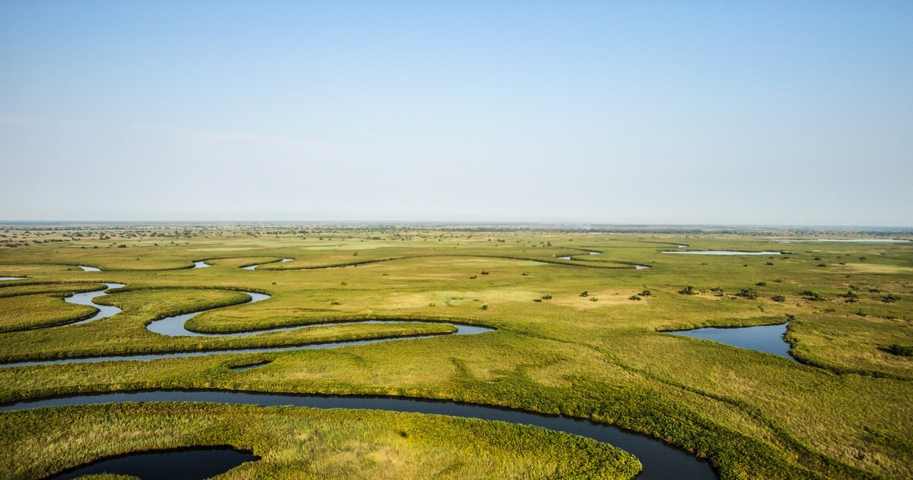 Kadr z filmu "Okawango: rzeka marzeń" /materiały prasowe