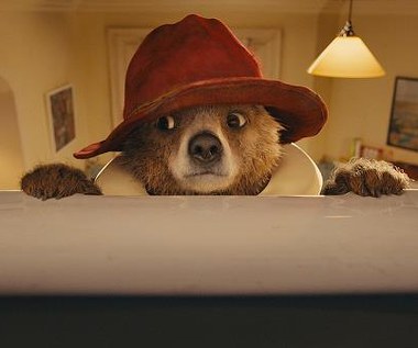 Kadr z filmu "Paddington"