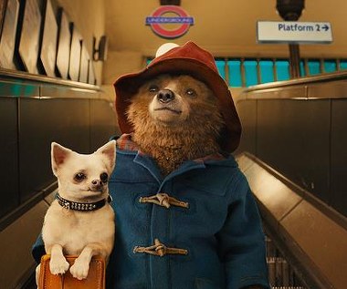 Kadr z filmu "Paddington"