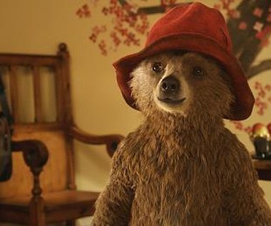 Kadr z filmu "Paddington"