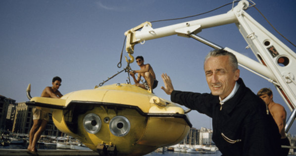 Kadr z filmu "Podwodne życie Jacques’a Cousteau" /materiały prasowe