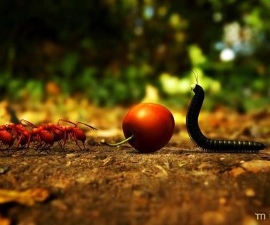 Kadr z filmu "Robaczki z Zaginionej Doliny"