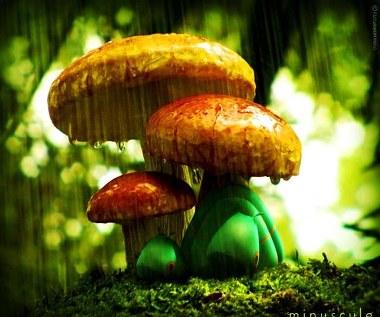 Kadr z filmu "Robaczki z Zaginionej Doliny"